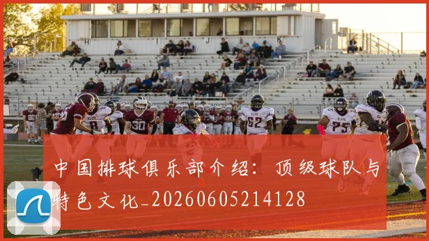 中国排球俱乐部介绍：顶级球队与特色文化_20260605214128